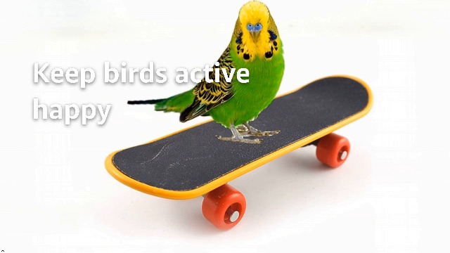 51a5Z7nTM+L.jpg
